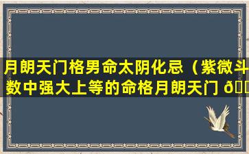 月朗天门格男命太阴化忌（紫微斗数中强大上等的命格月朗天门 🌸 ）